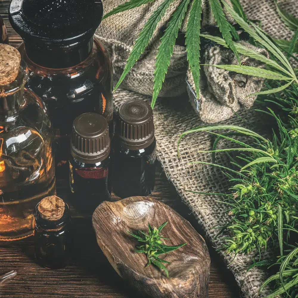 Bouteilles de verre et plantes de cannabis